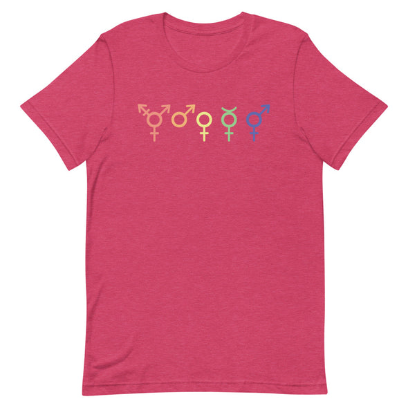 Gender Symbols Unisex T-Shirt